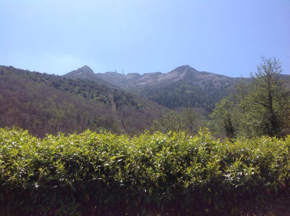Valle Dei Mulini B&B Marciana (Isola d'Elba) Exterior foto